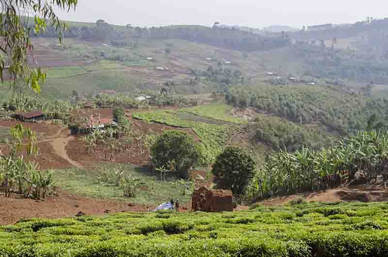 09 - Ruanda - paisaje